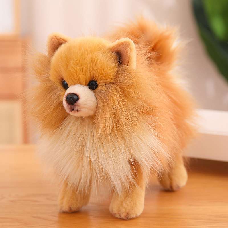 リアルで可愛い！ポメラニアンのぬいぐるみ10選