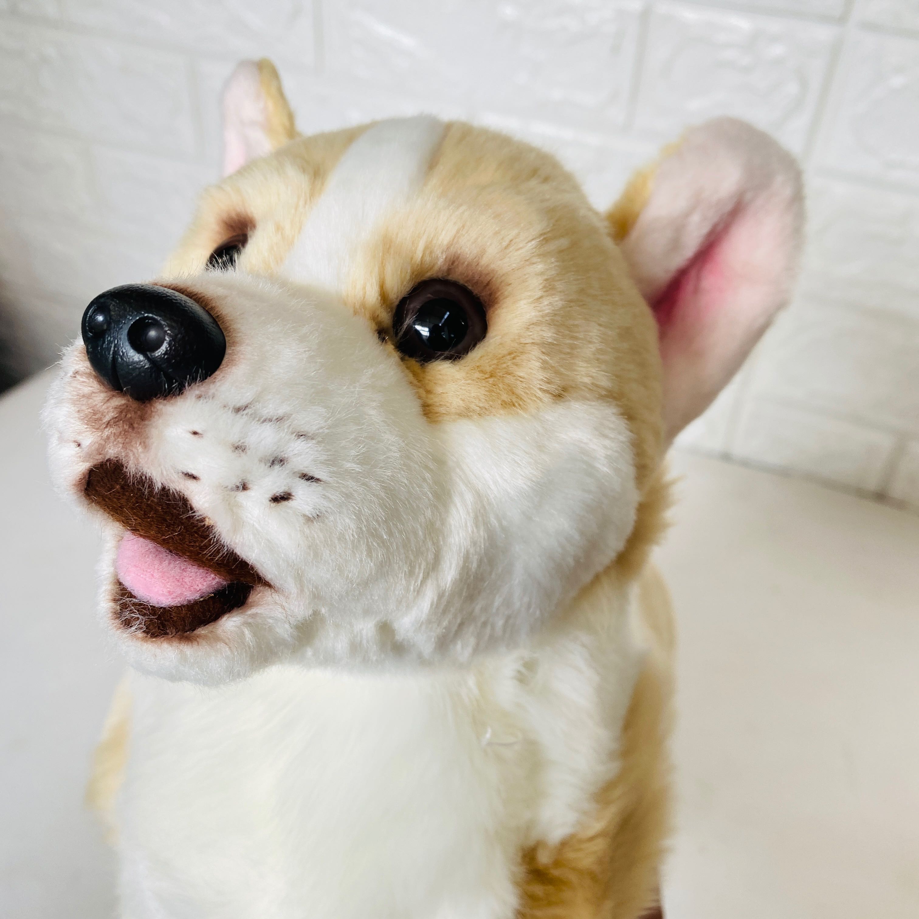 犬 ぬいぐるみ もふもふ柴犬ファミリー