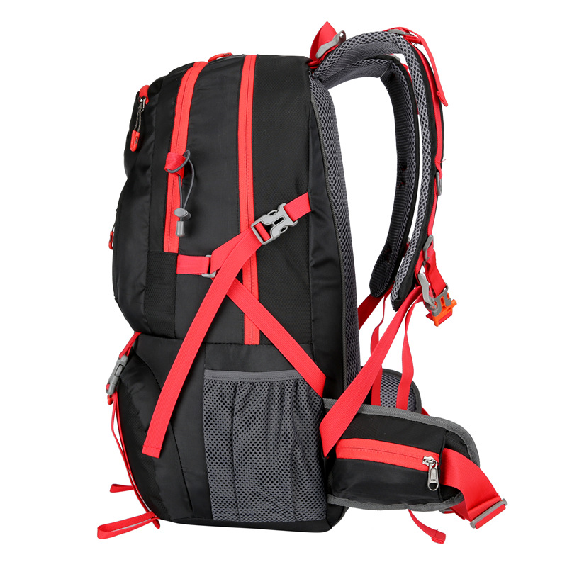 登山リュック アルパインハイカー トレッカー登山リュック50