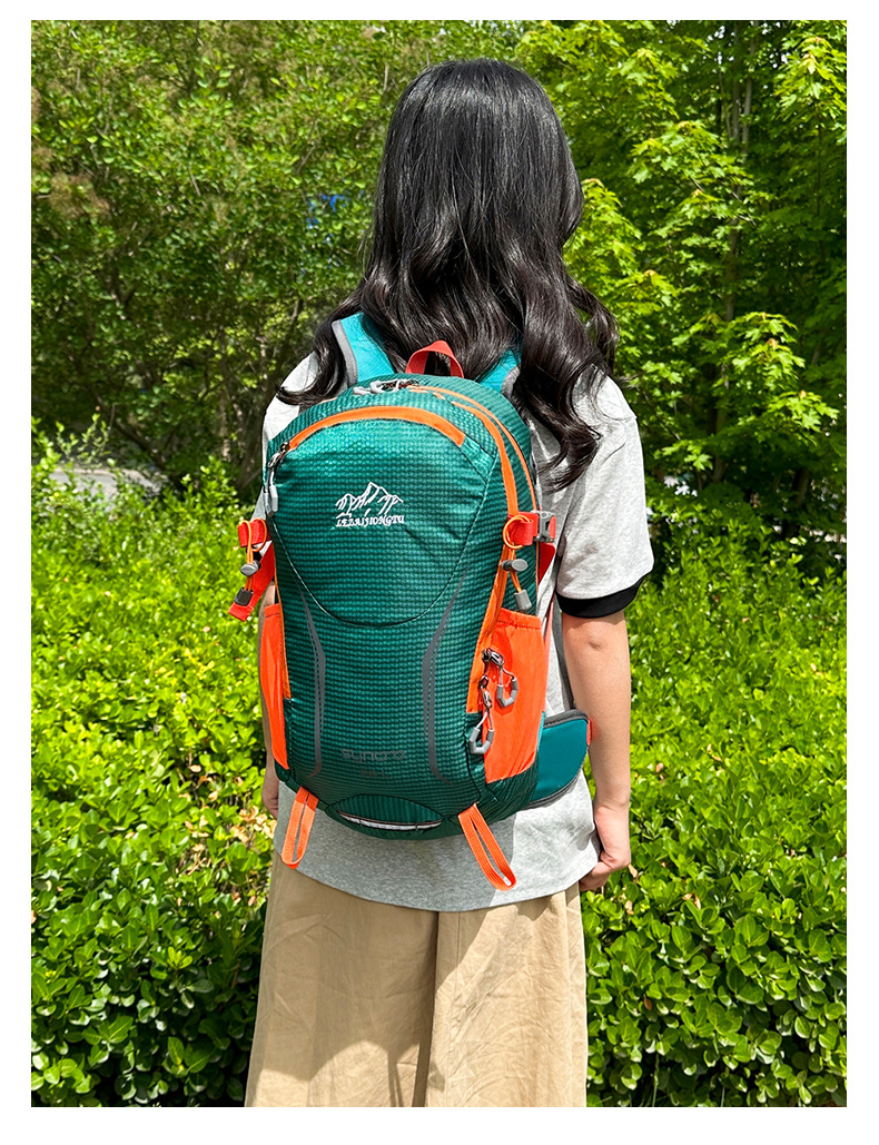 20L