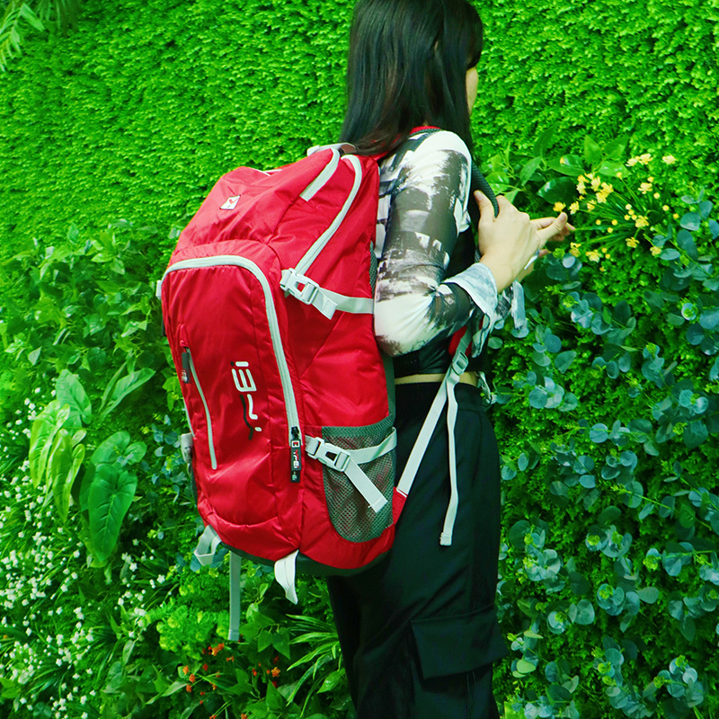 25L