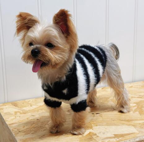 ネイビーコーデ 犬猫用ボーダー柄ペット服 秋冬保温ニット