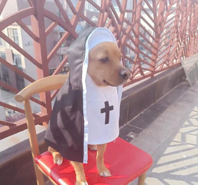 ネイビーコーデ ペット服 修道女風 変身衣装 猫犬用 撮影小物