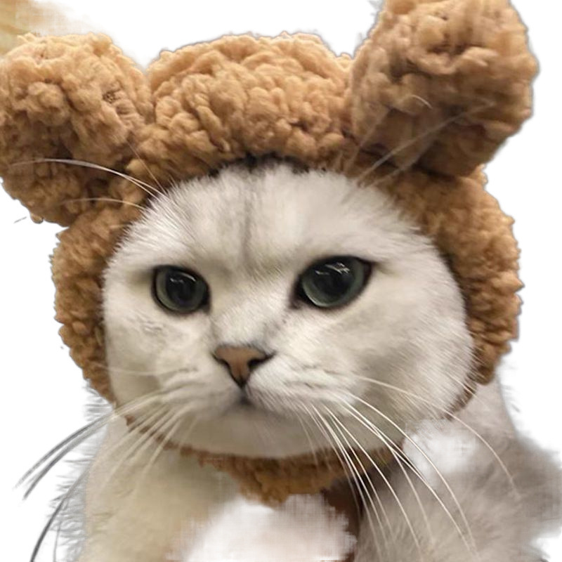 ネイビーコーデ もこもこライオンたてがみフード付きペット用着ぐるみ