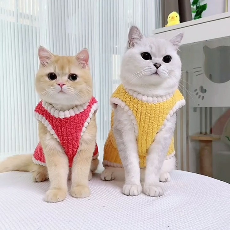 ネイビーコーデ エラー