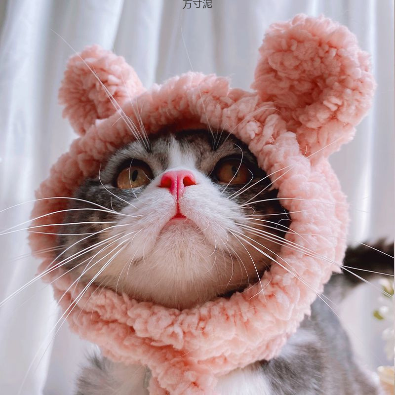 ネイビーコーデ もこもこライオンたてがみフード付きペット用着ぐるみ