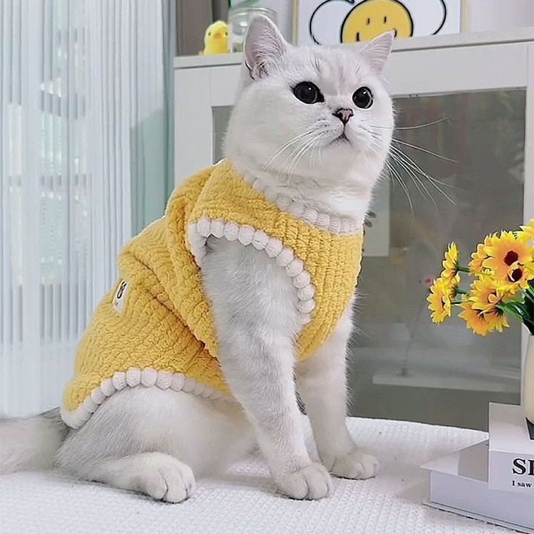 ネイビーコーデ エラー