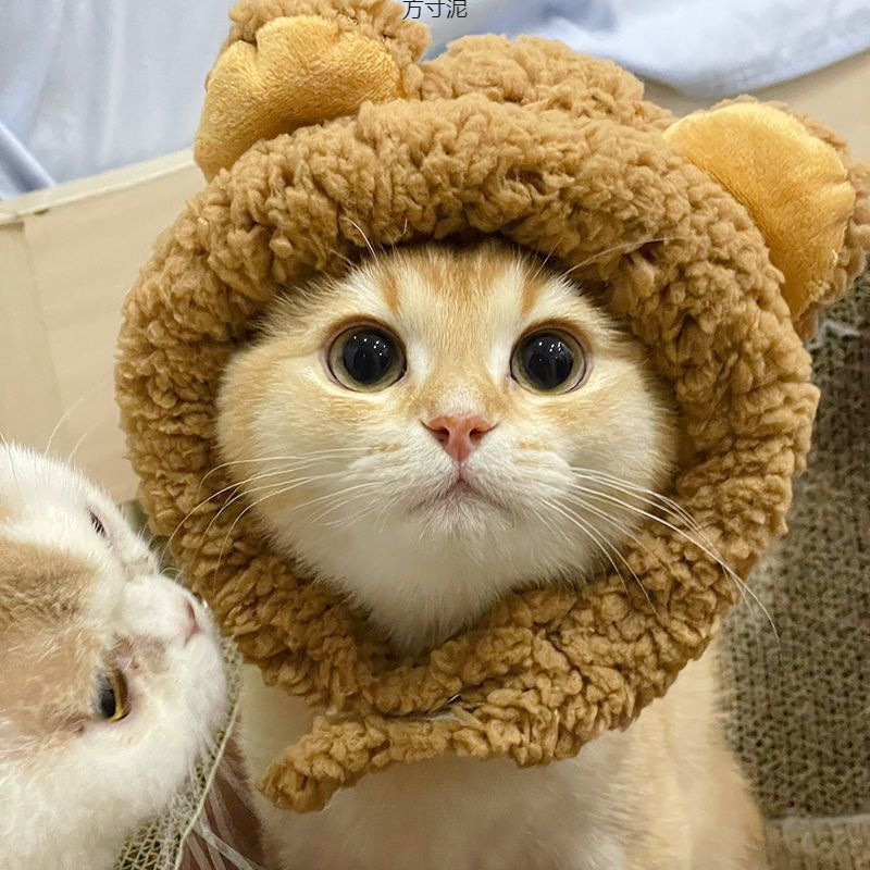 ネイビーコーデ もこもこライオンたてがみフード付きペット用着ぐるみ