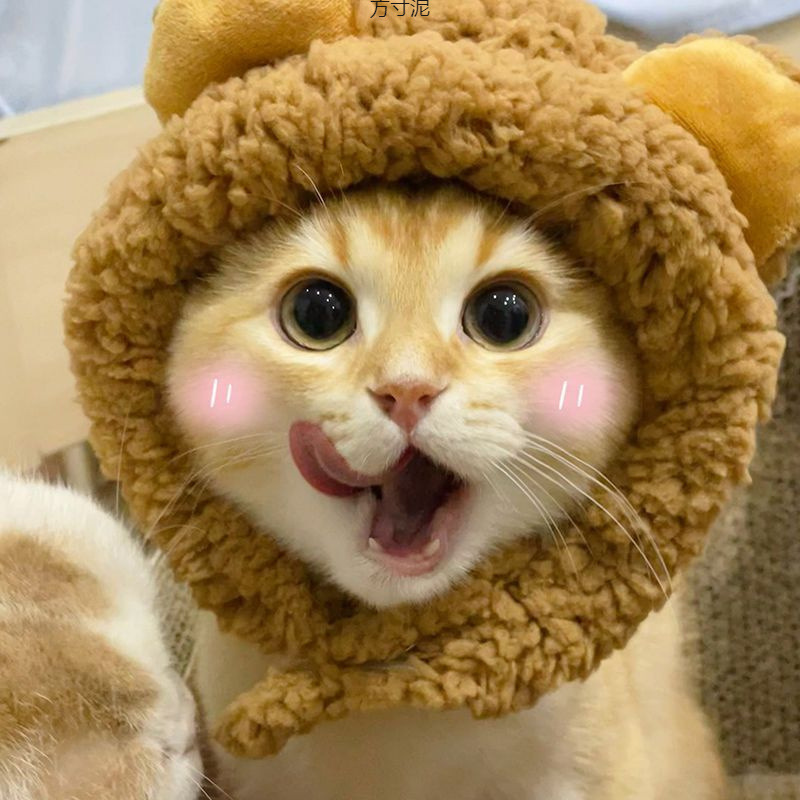 ネイビーコーデ もこもこライオンたてがみフード付きペット用着ぐるみ