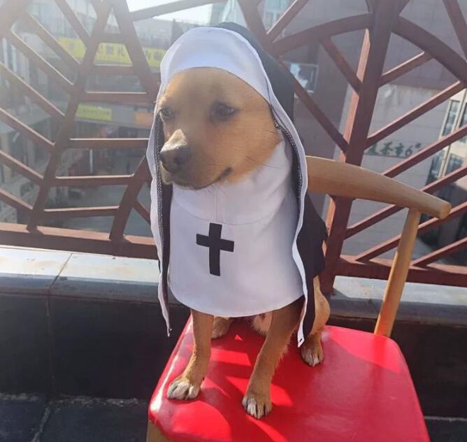 ネイビーコーデ ペット服 修道女風 変身衣装 猫犬用 撮影小物