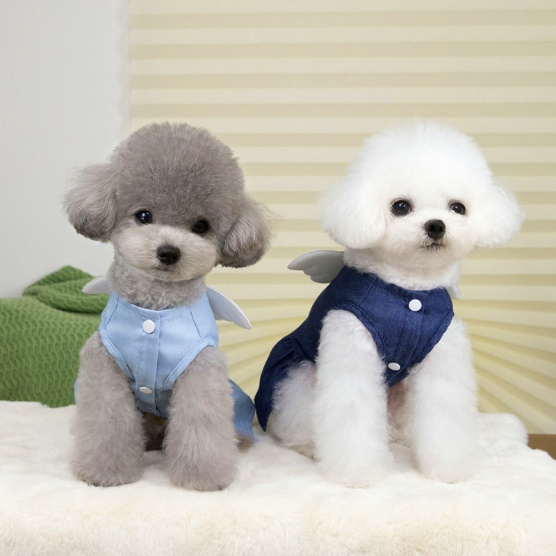 ネイビーコーデ 可愛い天使の羽付きペット服 犬猫用ワンピース 夏の新作
