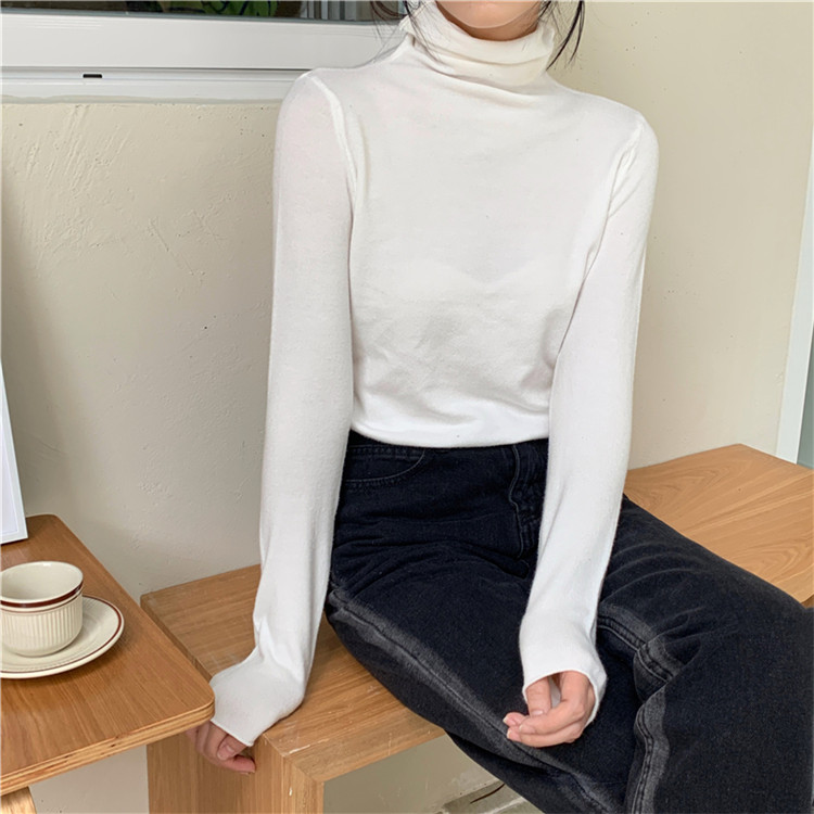 冬の必需品 暖かニットタートルネックシャツ 女性用　タートルネック　レディース　長袖