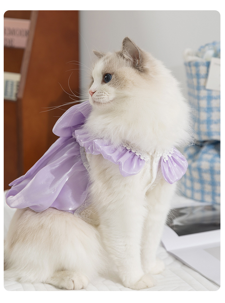 猫服 お姫様風フリル襟付き光沢ドレス