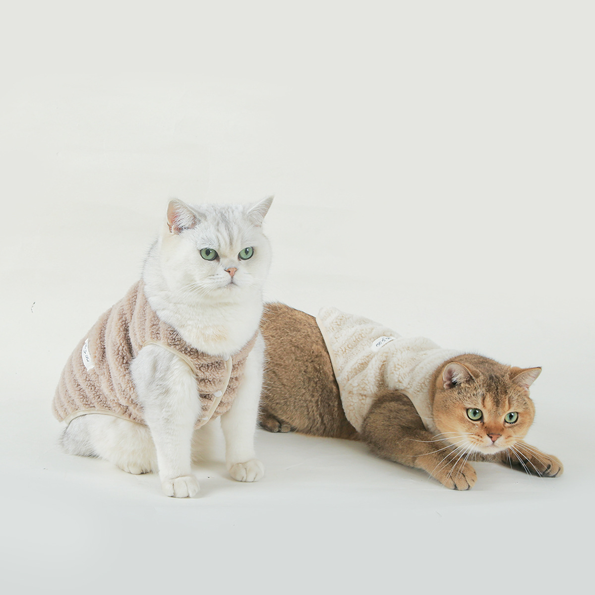 https://fulmo-img-server.com/nekohapi/00f36bfb-a670-4dca-834b-8737ca66f3dc.jpg