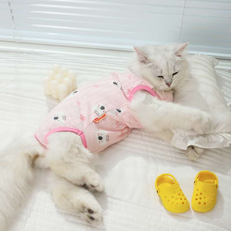 Cat Clothing Cosplay | Fluffy Lady Kitty Dress