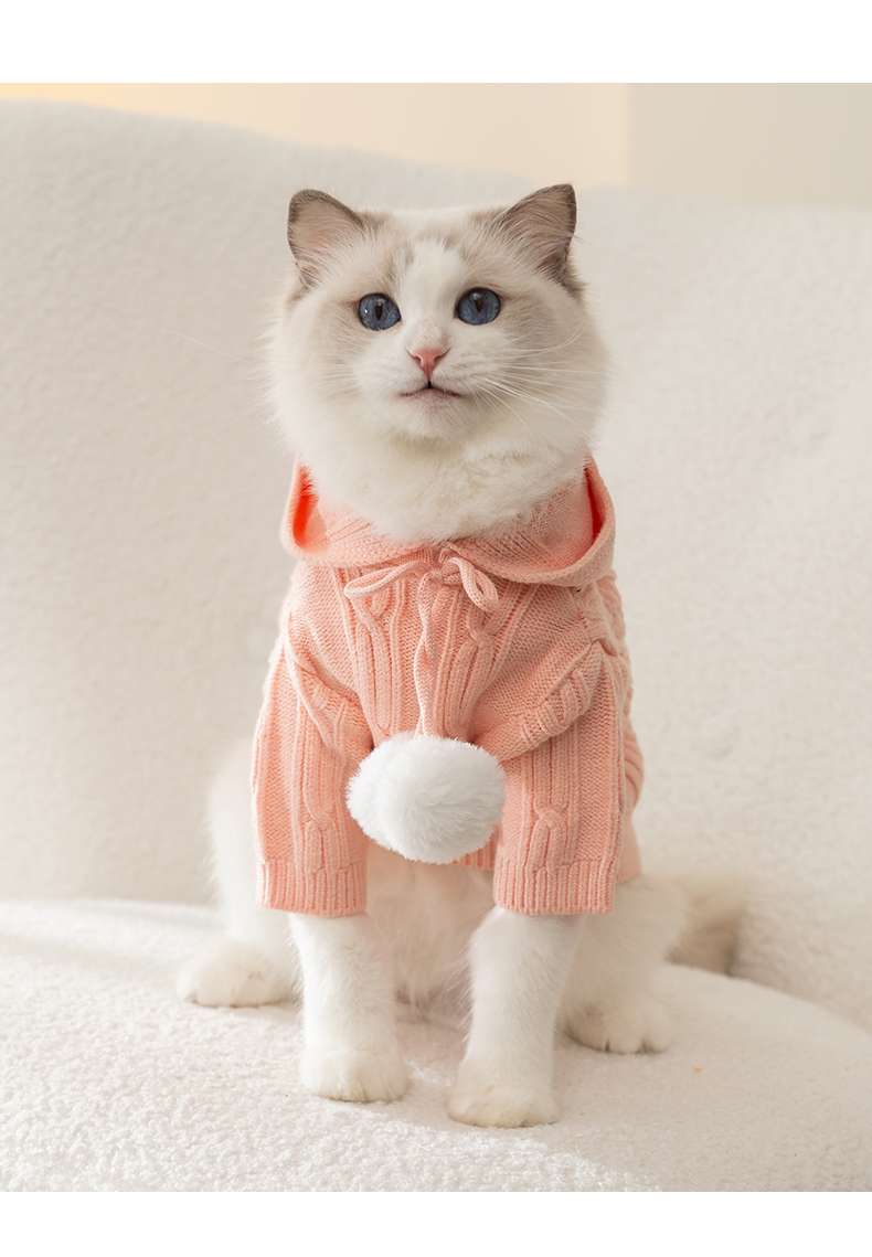 Cat Clothing Clothing | Fluffy Cat’s Fashionable Vest