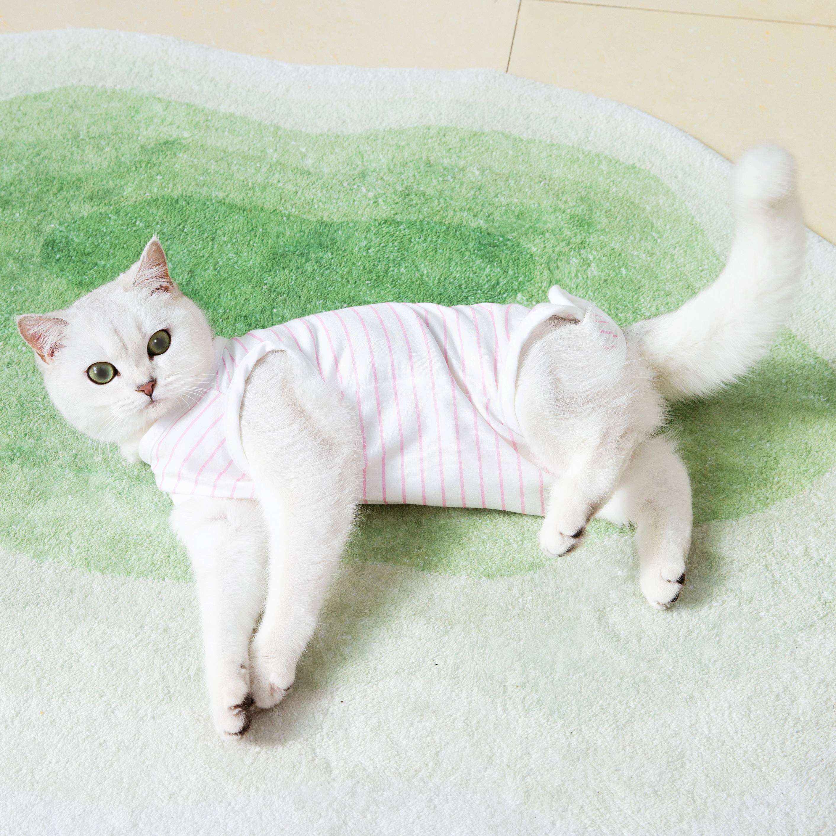 Cat Clothing Recovery Suit | Fluffy Healing Post-Op Wear