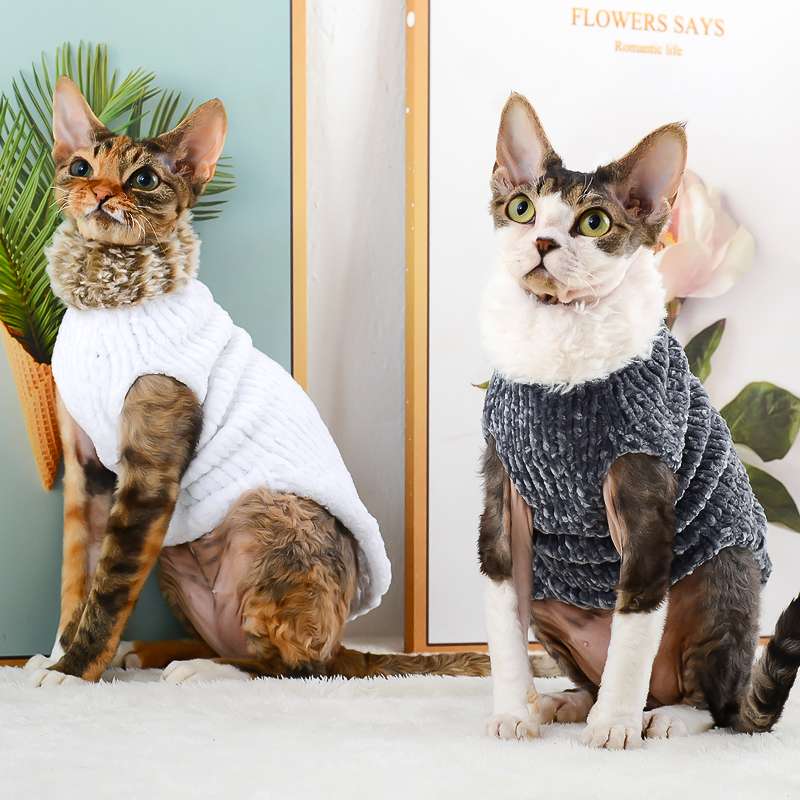 おしゃれ！スフィンクスに着せたい猫服【5選】