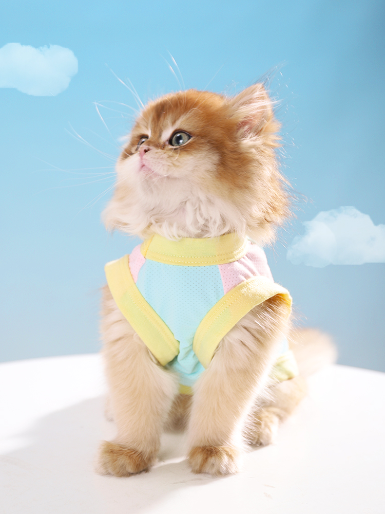 猫服 ふんわり優しいメッシュタンクトップ