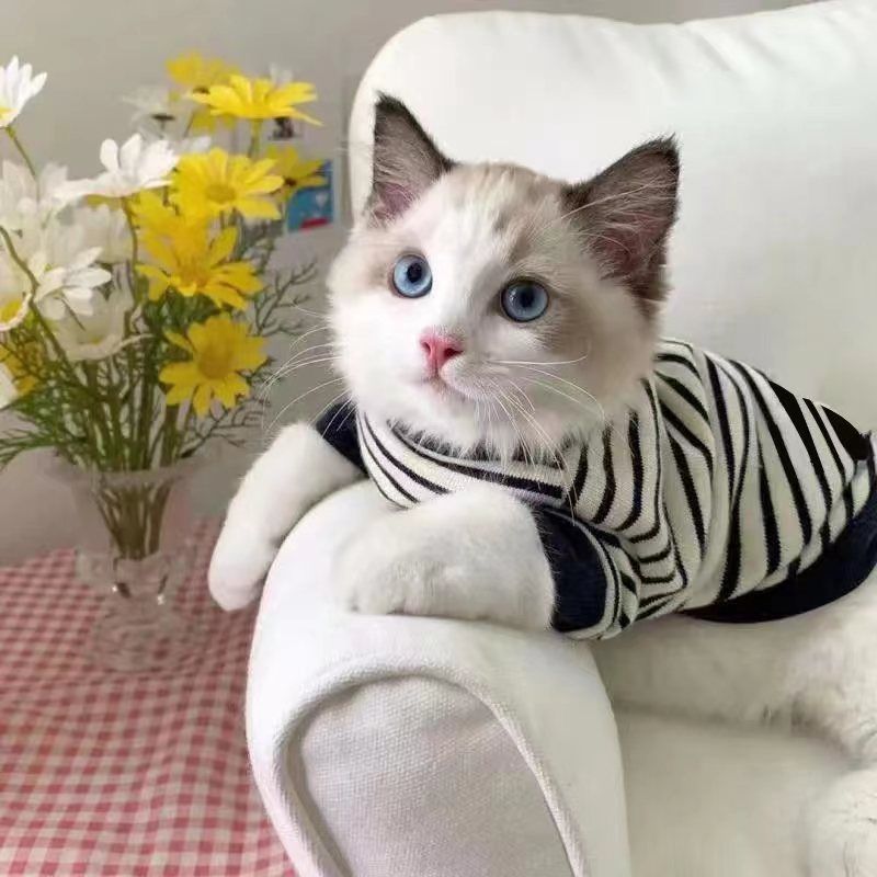 猫服 ボーダー柄ニット半袖トップス 猫用洋服