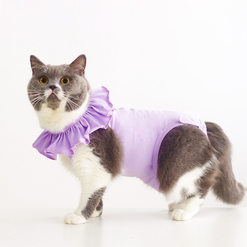フリル襟付き猫用術後保護服