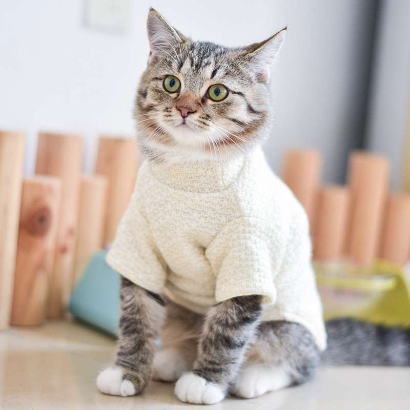 猫服  ねこちゃんの季節のニットウェア