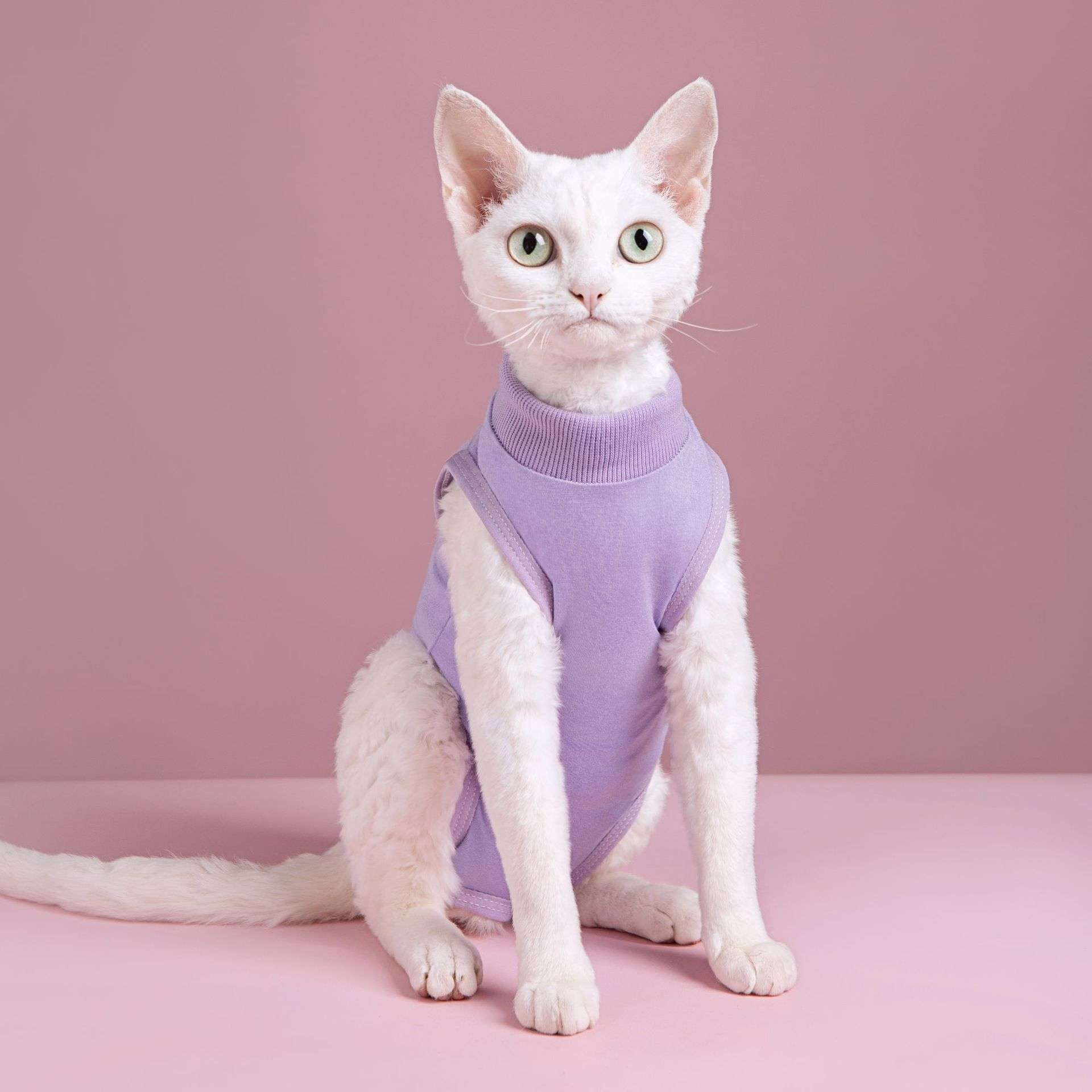 Cat Clothing Clothing | Gentleman-Style Cat Tuxedo