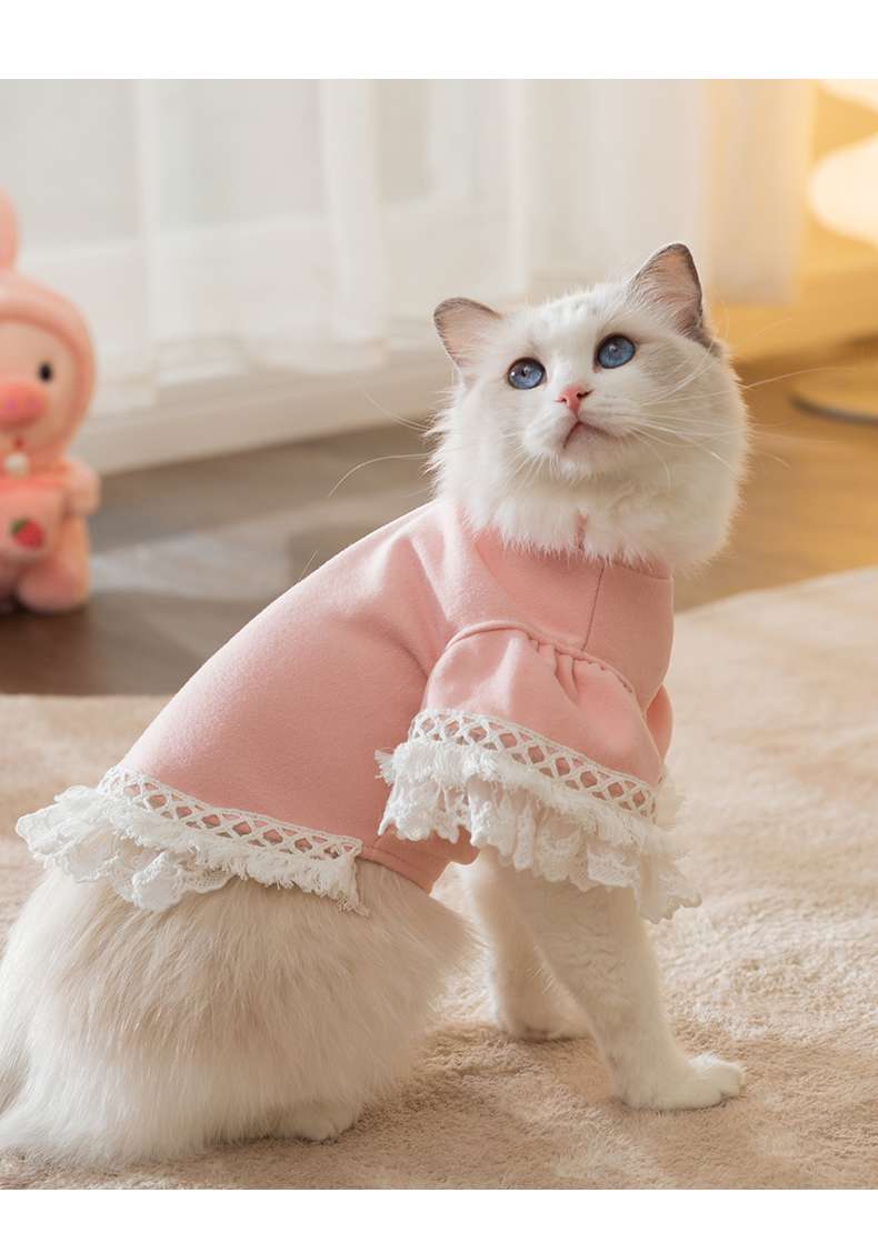 猫服  ふわもこレース猫ドレス