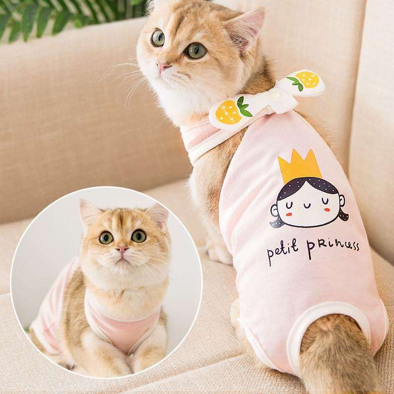 猫服  もこもこ猫ちゃんの防寒プリンセスウェア