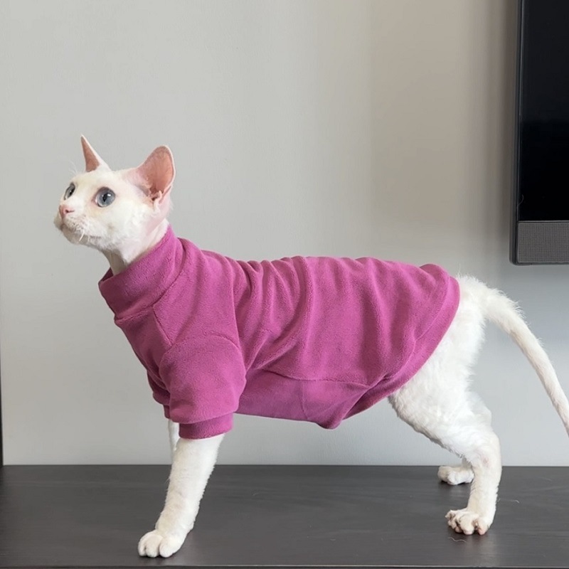 https://fulmo-img-server.com/nekohapi/0bdf7bbf-7a2f-40ef-82d8-944581258b5f.jpg