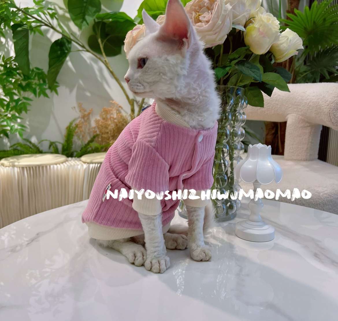 https://fulmo-img-server.com/nekohapi/0f1667c32ae04b618ba1b0ca2fd7b49b.jepg
