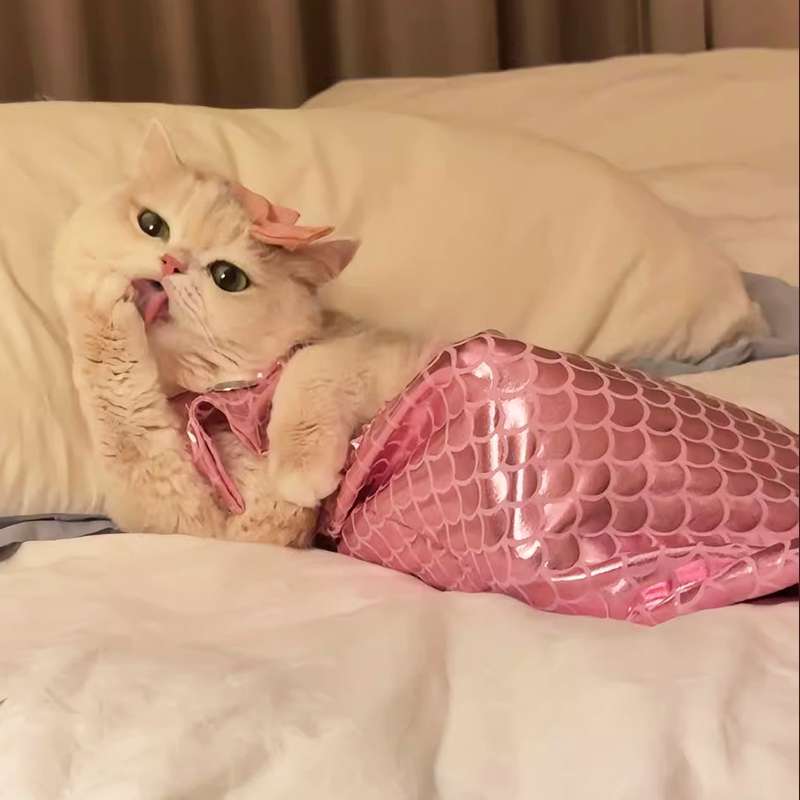 猫服 コスプレ | ふわもこ人魚姫の夢コスチューム