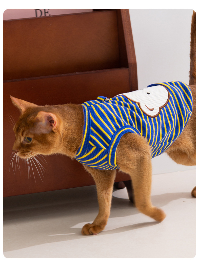 猫服 癒し系くまさんボーダー柄ノースリーブ服
