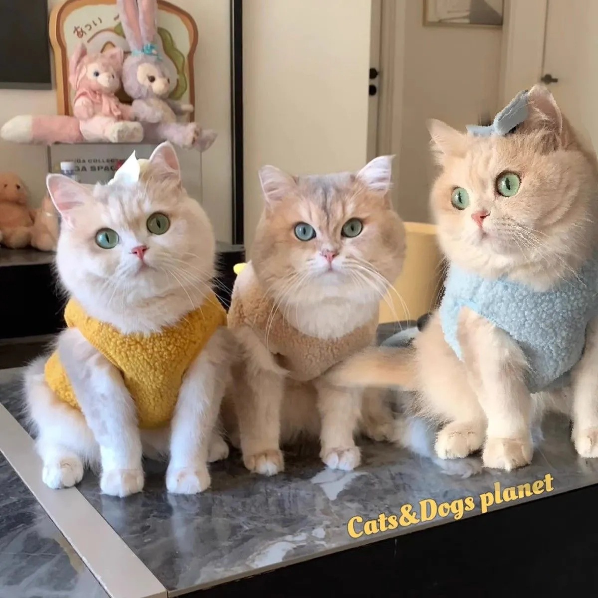 猫服 もこもこボア素材の袖なしベスト型猫用洋服