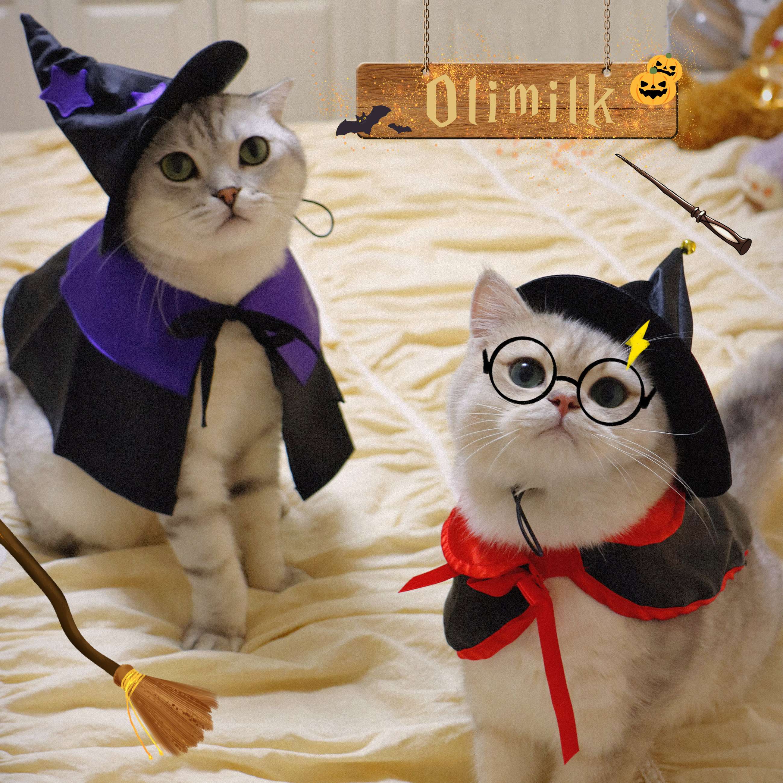 猫服  ハロウィン魔法使い猫コスチュームセット