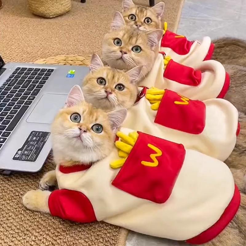 猫服 もぐもぐポテト防寒ウェア