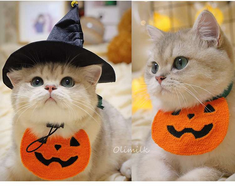 猫服  ハロウィン魔法使い猫コスチュームセット