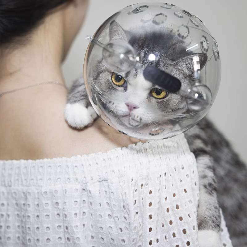 猫服  宇宙飛行士風猫用エリザベスカラー