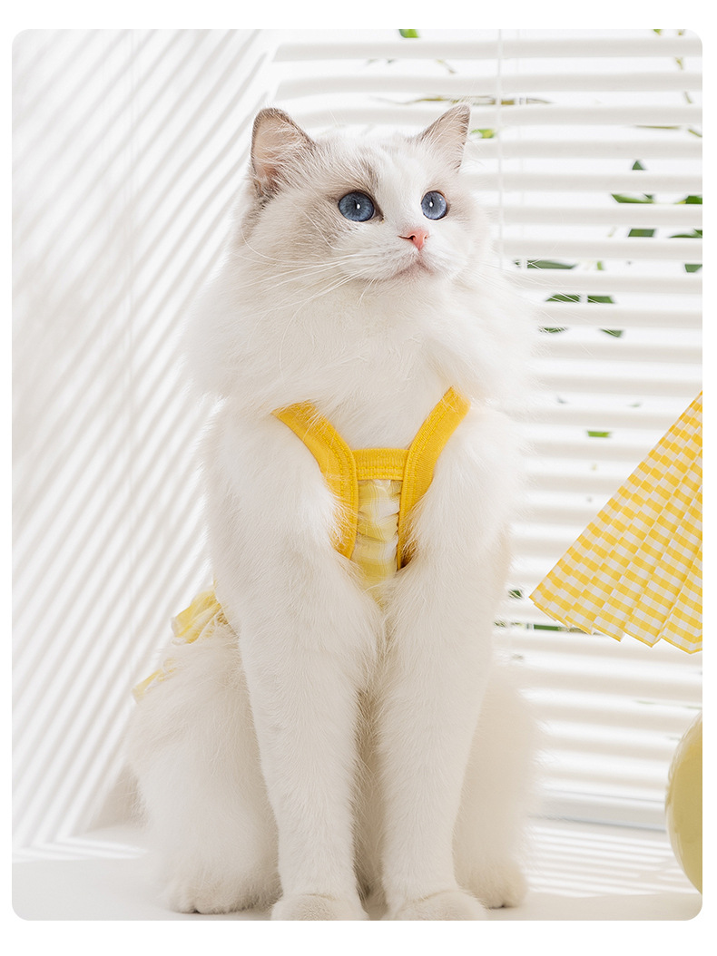 猫服 うさぎさんプリント付きフリルワンピース