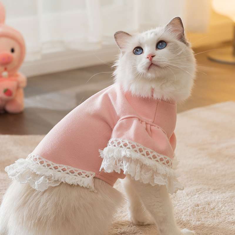 猫服  ふわもこレース猫ドレス