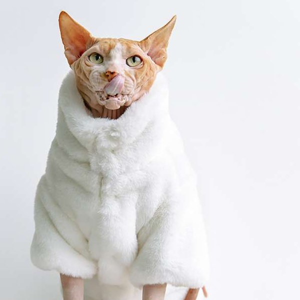 Cat Clothing Winter Jacket | Fluffy Cat Coat