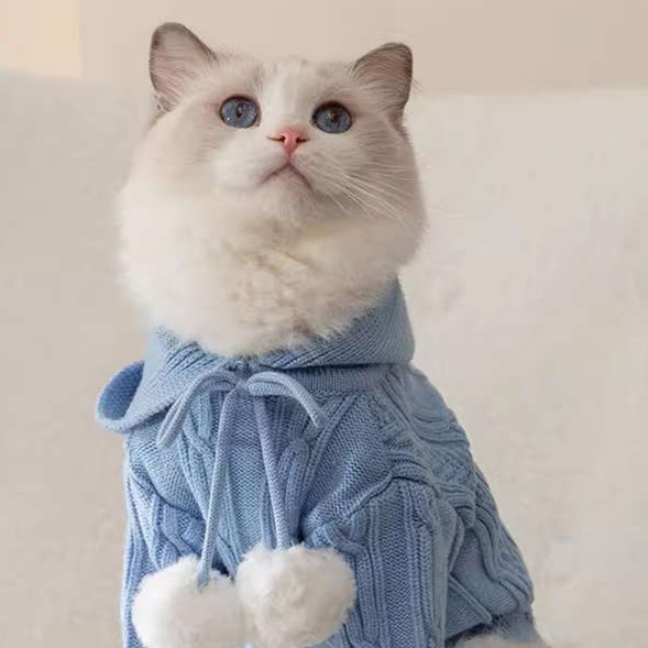 Cat Clothing Clothing | Fluffy Cat’s Fashionable Vest