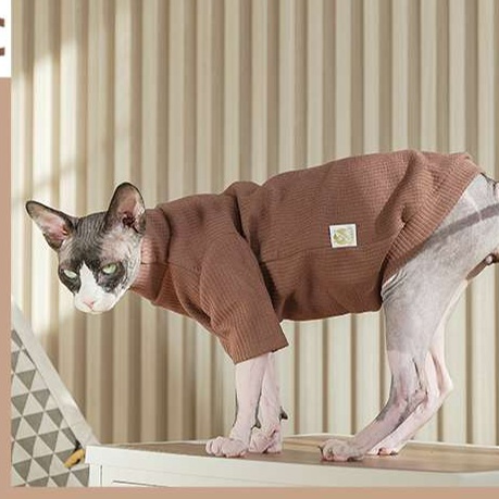 https://fulmo-img-server.com/nekohapi/1726491122114_rua3xm09_cropped.jpg