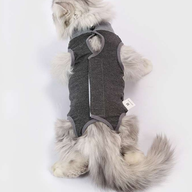 Cat Clothing Recovery Suit | Cute Patterned Cat Post-Op Wear