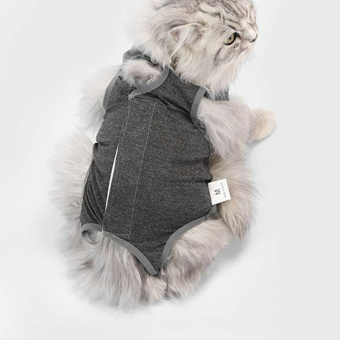 Cat Clothing Recovery Suit | Cute Patterned Cat Post-Op Wear