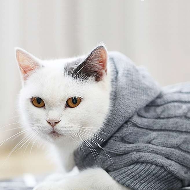 Cat Clothing Sphinx | Warm Border Wear for Cats