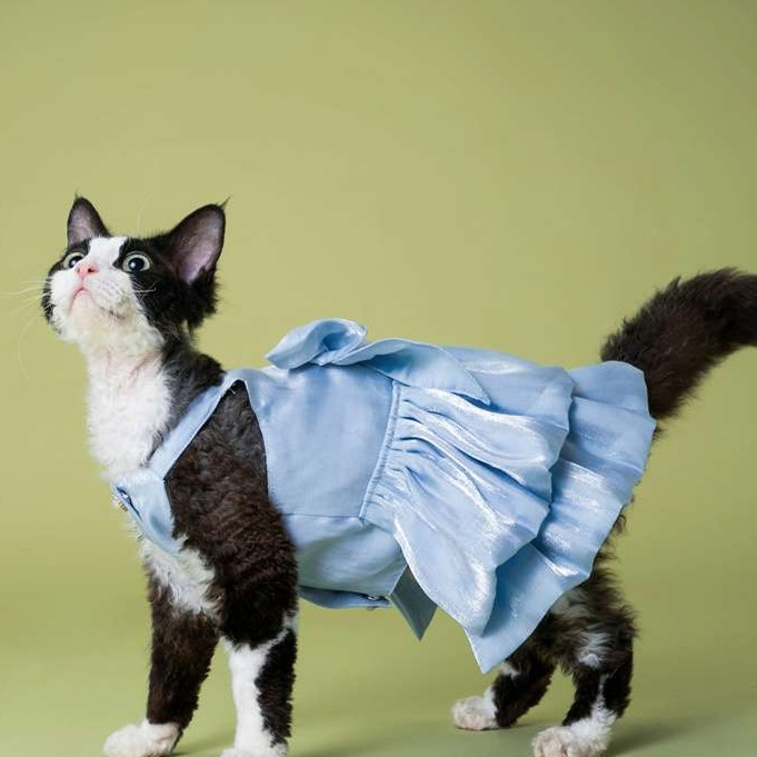 Cat Clothing Winter Jacket | Fluffy Cat Poncho-Style Winter Cape