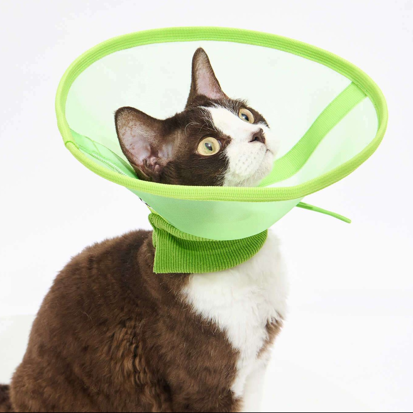 Cat Elizabethan Collar | Starry Sky Cat Collar – Relaxing Type