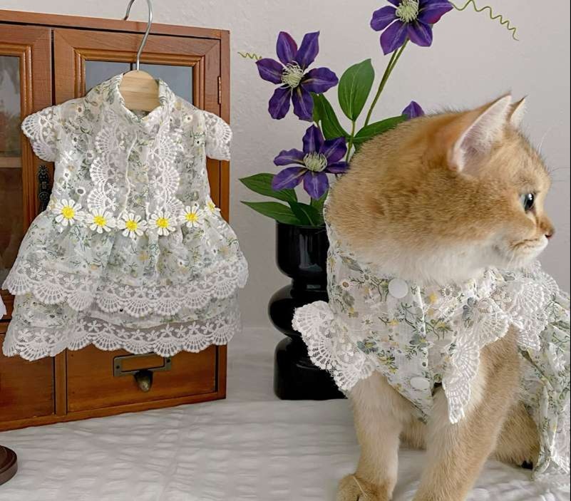 Cat Clothing Cosplay | Maid-Style Frilled Dress for Cats