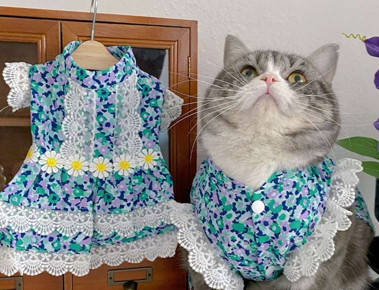 Cat Clothing Cosplay | Maid-Style Frilled Dress for Cats